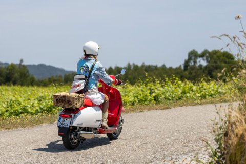 G Special 350 Series II 25