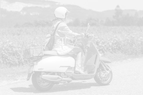 Catálogos de Acessórios